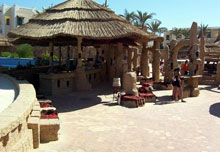 Club el Faraana Reef