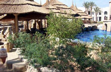 Club el Faraana Reef