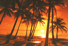 Amora Beach Resort Phuket