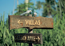 Fregate Island Private