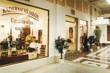 Ambassador Zlata Husa