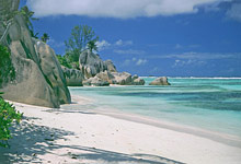 Paradise Flycatcher's Lodge