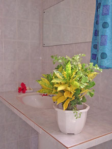 Paradise Flycatcher's Lodge