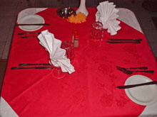 Paradise Flycatcher's Lodge