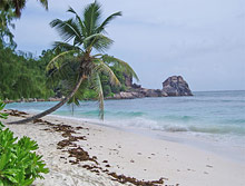Paradise Flycatcher's Lodge