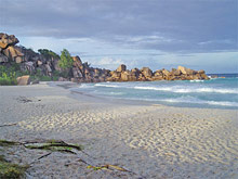 Paradise Flycatcher's Lodge