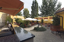 Archibald at the Charles Bridge