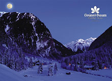 Hoteldorf Gruner Baum