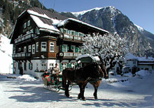 Hoteldorf Gruner Baum