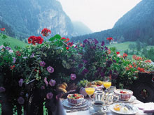 Hoteldorf Gruner Baum