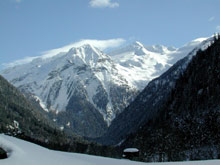 Hoteldorf Gruner Baum