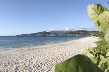 Spice Island Beach Resort