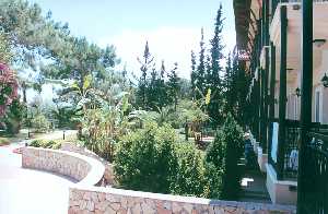 Grand Ring Hotel (ex.Joy Pine Resort)