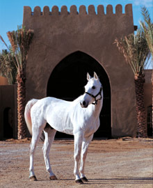 Bab Al Shams Desert Resort & Spa