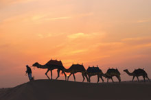 Bab Al Shams Desert Resort & Spa