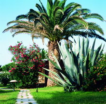 Creta Beach Hotel & Bungalows(ex.Creta Beach)