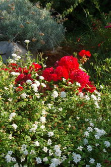 Anissa Beach(ex.Anissa Beach & Village)