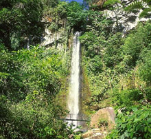 Four Seasons Resort Costa Rica