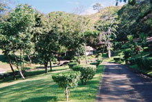 Fiesta Premier Resort & Spa (Golfo de Papagayo)