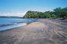 Fiesta Premier Resort & Spa (Golfo de Papagayo)