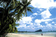 Si Como No (Playa Manuel Antonio)