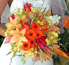 Si Como No (Playa Manuel Antonio)