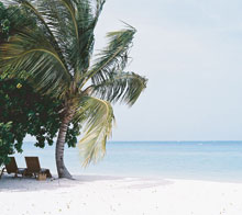 Tortuga Bay Puntacana Resort & Club(ex.Tortuga Bay)