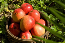 Sivory Punta Cana Boutique Hotel