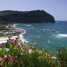 Terme Royal Palm (ex.Royal Palm Terme )