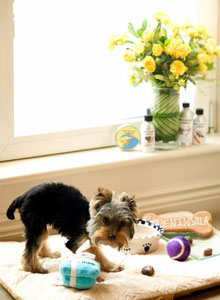 The Peninsula New York