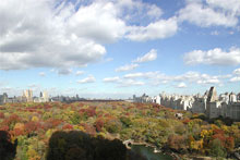 The Helmsley Park Lane