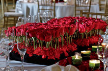 The Ritz-Carlton New York, Battery Park