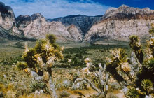 Four Seasons Hotel Las Vegas