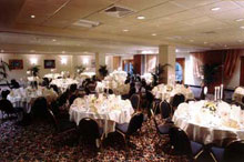 Golden Tulip Vivaldi