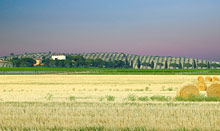 L'Andana - Tenuta La Badiola