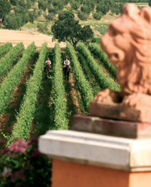 L'Andana - Tenuta La Badiola