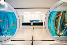 Blue Sea Beach Resort (ex.Blue Sea)