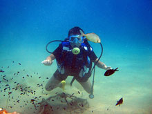 Hotel Hermitage(ex.Hermitage - Isola d’Elba)