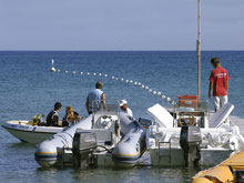Del Golfo - Isola d’Elba