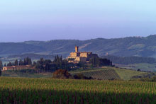Castello Banfi