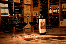 Casa Felice Matteucci Villa