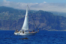 Estalagem Quinta da Casa Branca