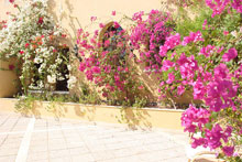 Sol Y Mar Makadi Sun