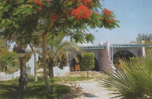 Hilton Nuweiba Coral Resort