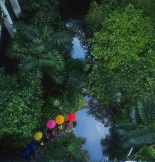 Four Seasons Hotel Bangkok
