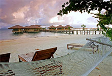 Dos Palmas Arreceffi Island Resort