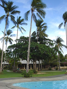 Dos Palmas Arreceffi Island Resort