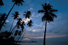 Anantara Bophut Resort & Spa