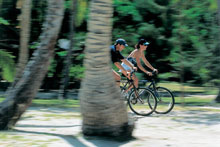 Turtle Island Resort