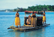 Turtle Island Resort